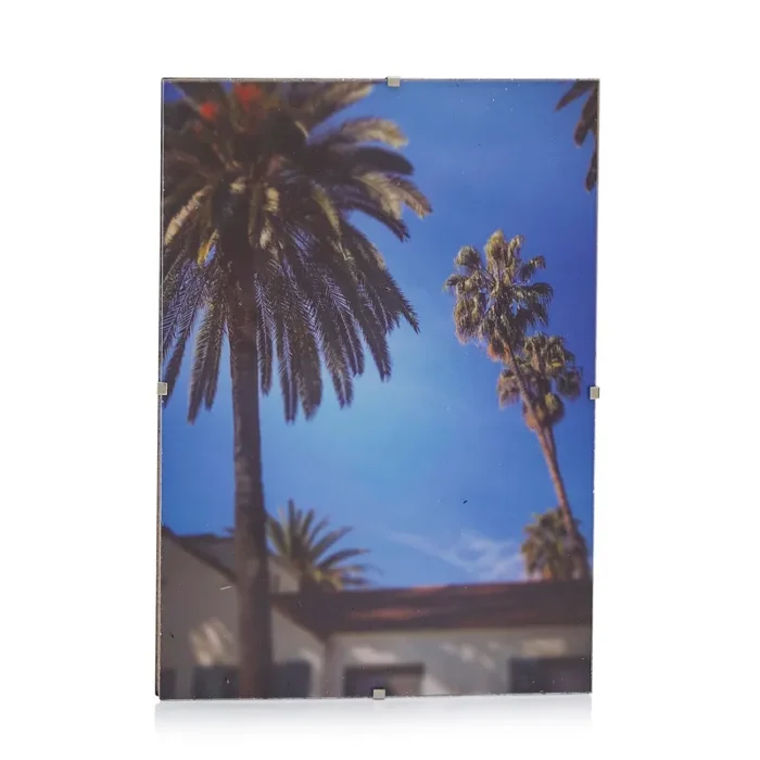 0055 (A+D) Photo of Palm Tree and House