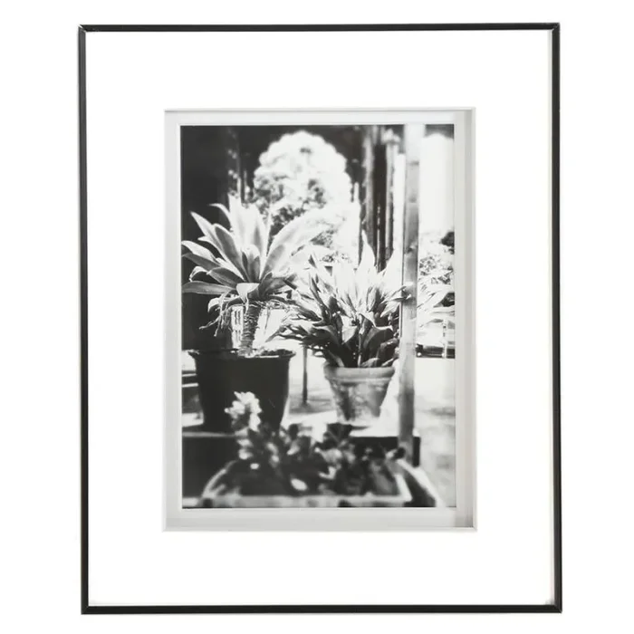 0833 (A+D) Juicebar Plants (8″ x 10″) Hot on Sale