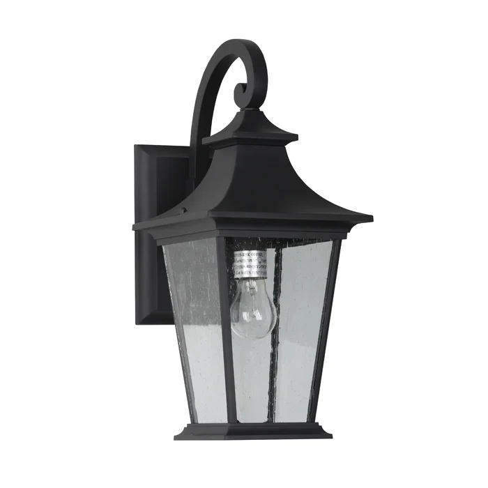 1-Light Outdoor Wall Light