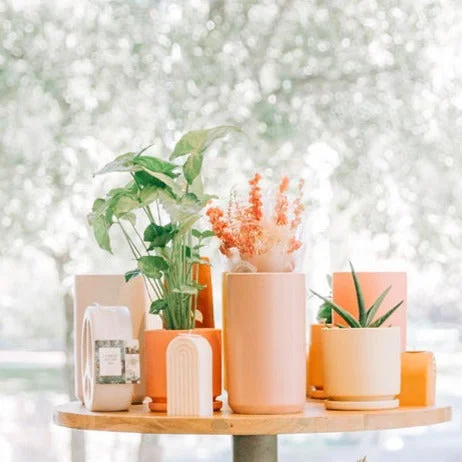 6.25″ Gemstone Cylinder Pot with Water Saucer