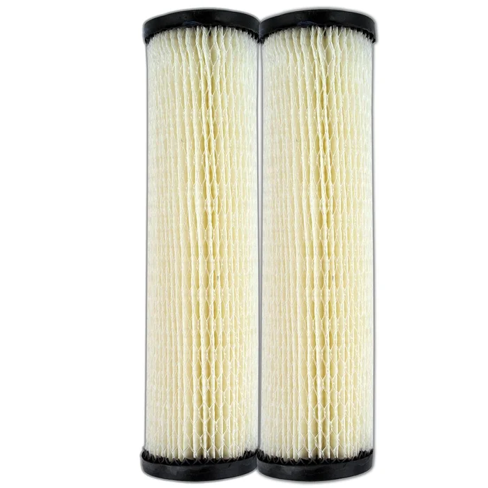 9 3/4″ Omnifilter S1 / RS1-DS Pleated Cellulose 20 Mic Filter, 2-Pack