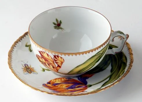 Anna Weatherley Old Master Tulip Cup & Saucer
