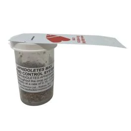 Aphidoletes aphidimyza