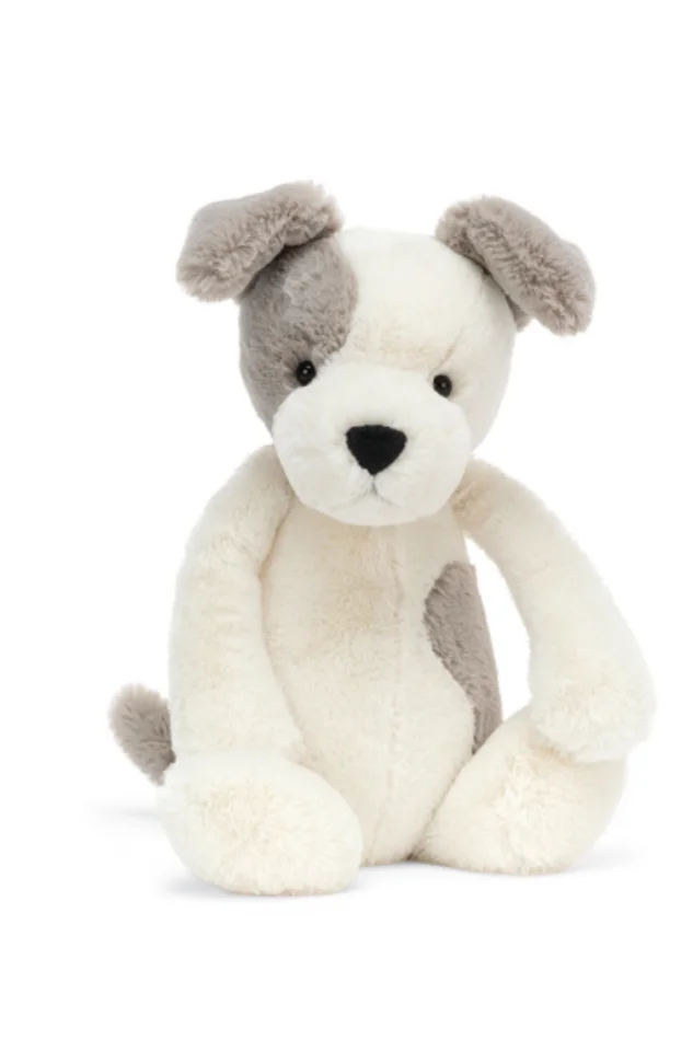 Bashful Terrier Medium