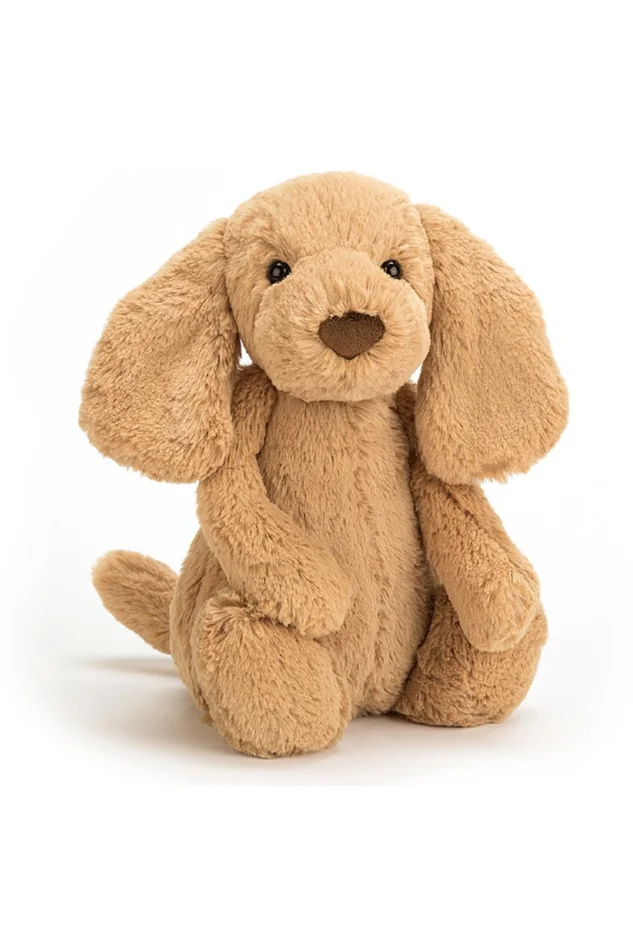 BASHFUL TOFFEE PUPPY MEDIUM