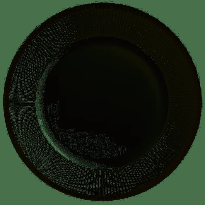 Bernardaud Athena Studio Dinner Plate