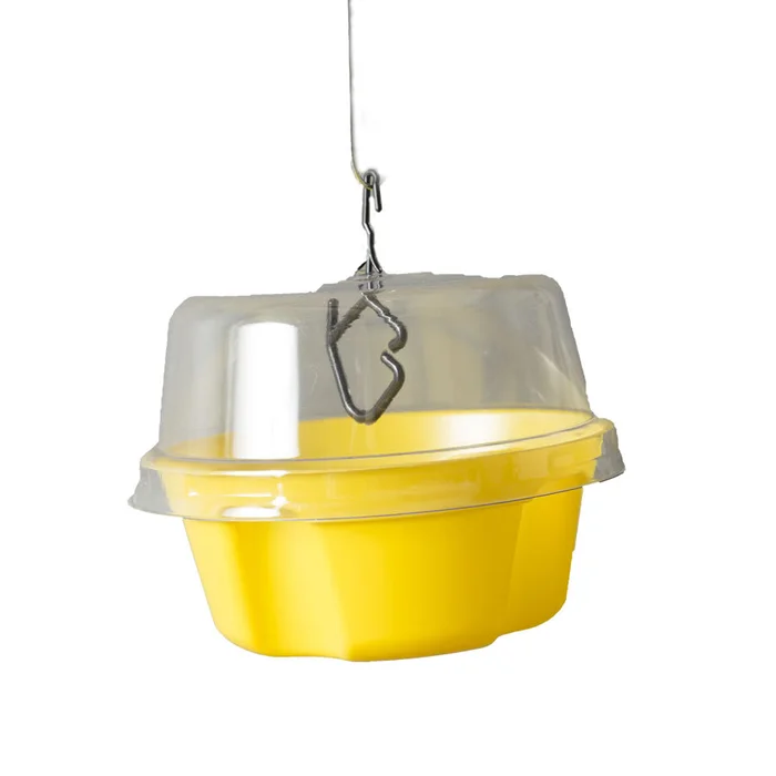 Bio Trap for Tropical Fruit Flies