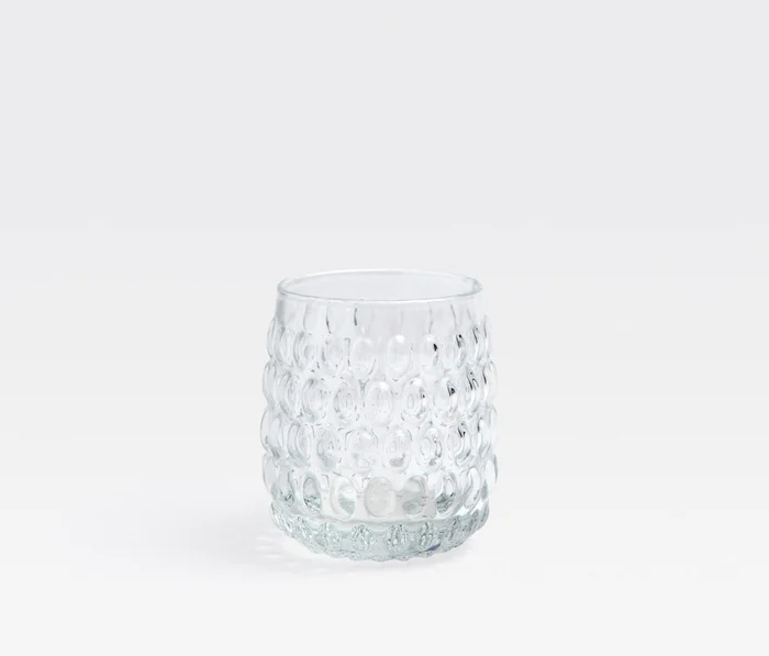 Blue Pheasant Claire Clear Juice Glass