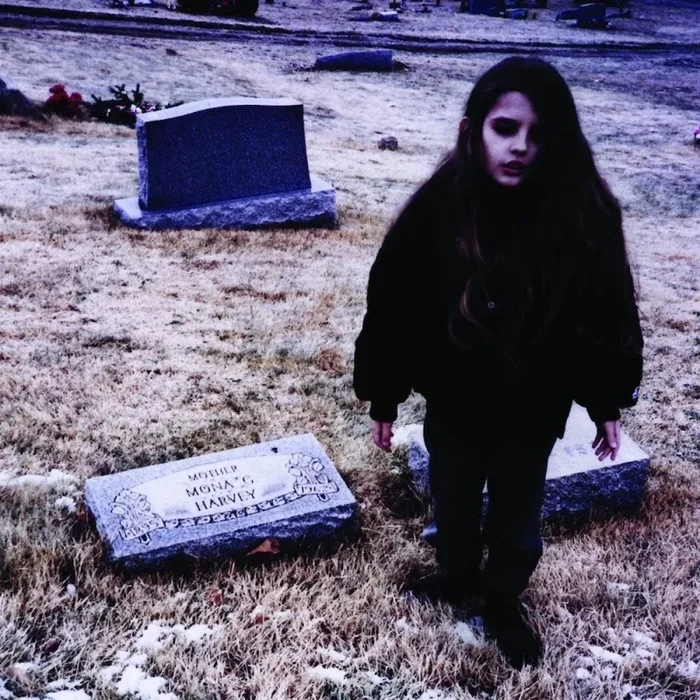 Crystal Castles: II Vinyl 2LP