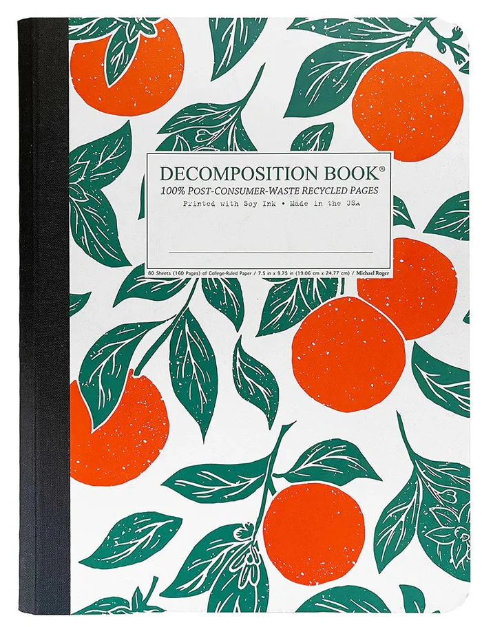 Decomposition Book- Oranges