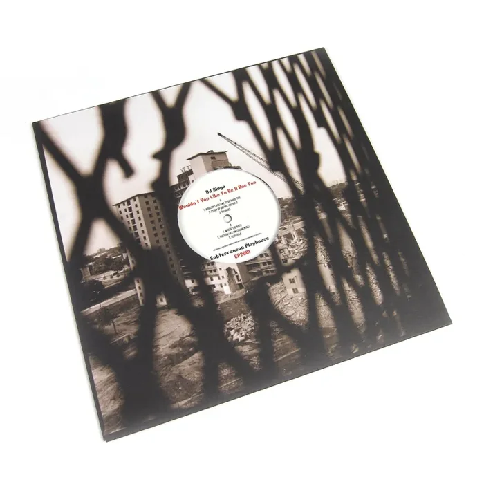 DJ Slugo: Wouldn’t You Like To Be A Hoe Too Vinyl 12″