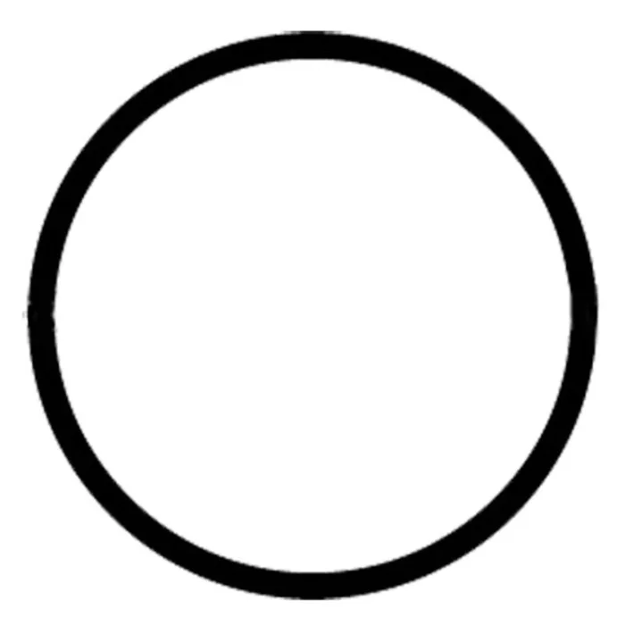 Everpure EV307119 Water Filter O-ring for K, IMF, AR-X Housings