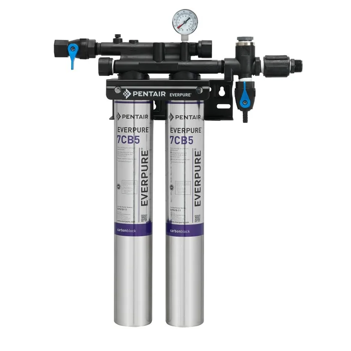 Everpure Kleensteam II Twin w/o Feeder