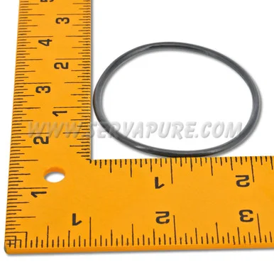 Fleck 13847, Plastic or Brass Meter Cap O-Ring