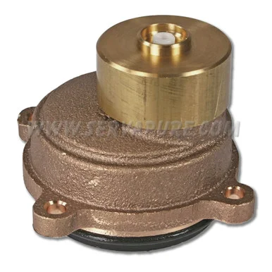 Fleck 15237, Extended Range Meter Cap Assembly, Brass