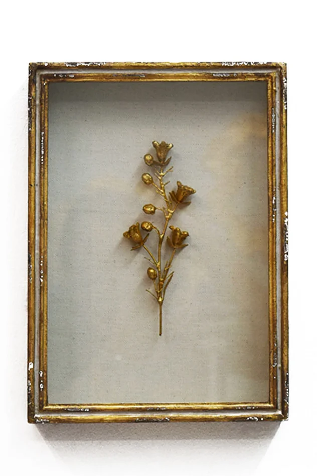 FRAMED RAMPION BELL FLOWER