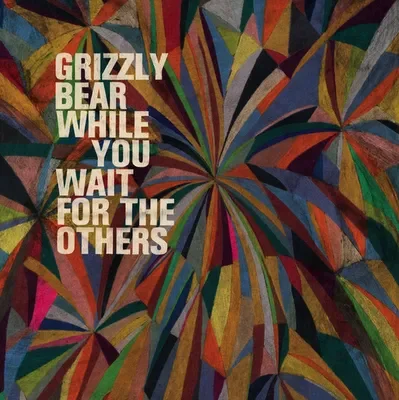 Grizzly Bear: While You Wait For The Others 7″ Hot on Sale