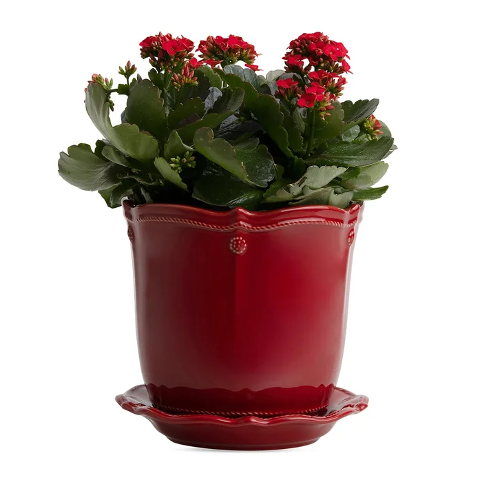 Juliska Berry & Thread Ruby 5.25″ Planter W/Saucer