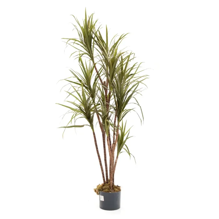 Large Faux Cat Palm Plant