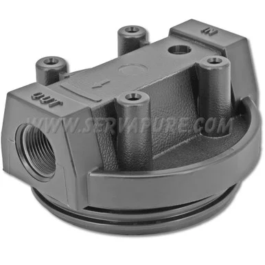 LIMITED QUANTITIES – NO REPLACEMENT – Pentek 154001, 3/4” In/Out, Black Cap No PR for Standard Housing