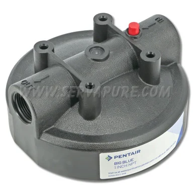 LIMITED QUANTITIES – NO REPLACEMENT – Pentek 154166, 1” In/Out, Black Cap, w/ PR for Big Blue Housings