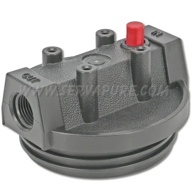 LIMITED QUANTITIES – NO REPLACEMENT – Pentek 154171, 1/2” In/Out, Black Cap, w/ PR for Slim Line Housing