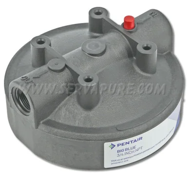 LIMITED QUANTITIES – NO REPLACEMENT – Pentek 154195, 3/4” In/Out, Black Cap, w/ PR for Big Blue Housing
