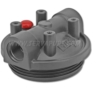 LIMITED QUANTITIES – NO REPLACEMENT – Pentek 154638, 3G 3/4” Black Mounting Bracket Cap W/PR