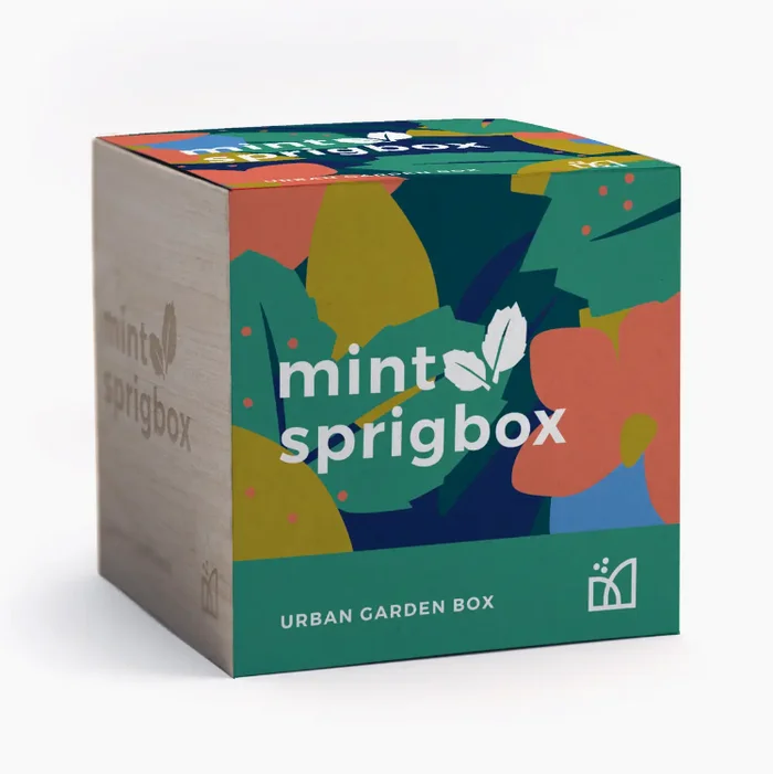 Mint Grow Kit