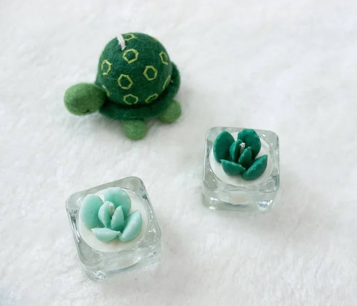 Mint Succulent Tealight Candles