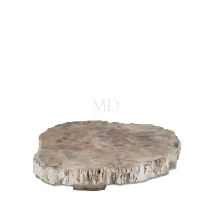 Montes Doggett Live Edge Petrified Wood Trivet
