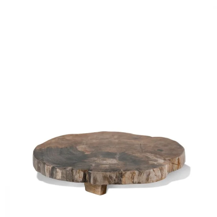 Montes Doggett Petrified Wood Trivet W/Polished Edge