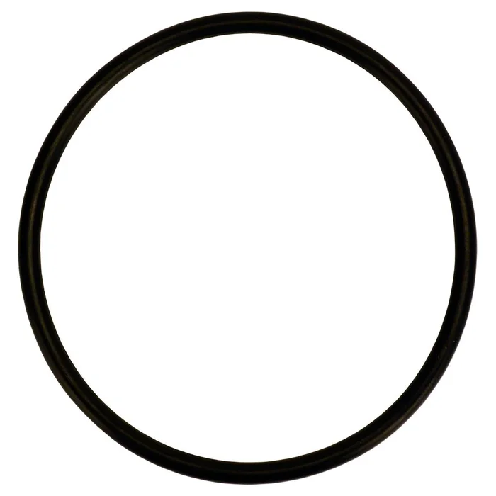 Neo-Pure Gasket for SFR Series Single Filter Ring Nut Housings