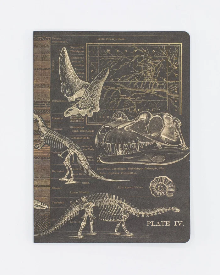 Notebook (Softcover) – Dinosaur w/ Dot Grid