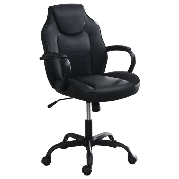 Office Chair with Padded Armrests