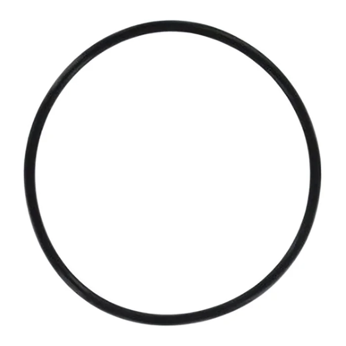 Omnifilter OK24 O-Ring for U24