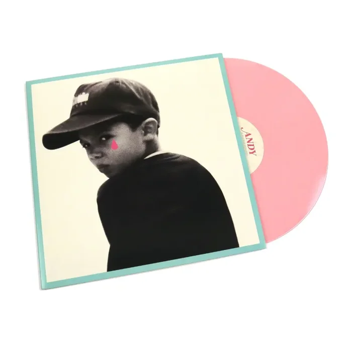 Raleigh Ritchie: Andy (Colored Vinyl) Vinyl LP