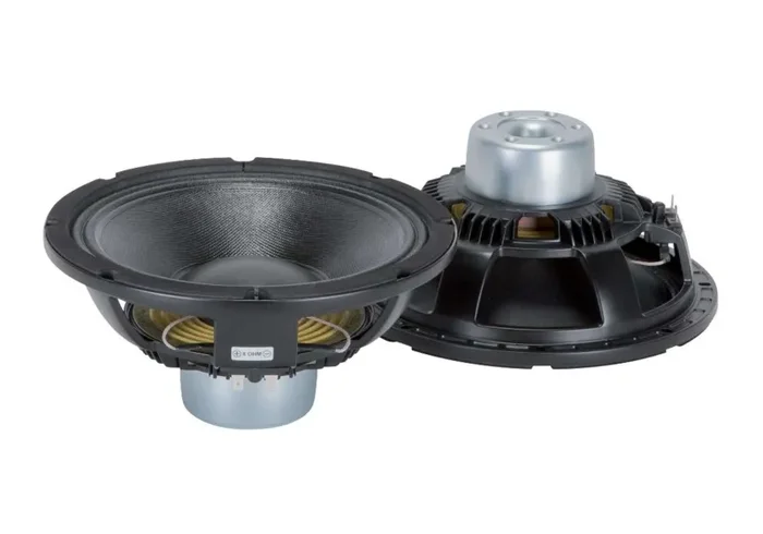 RCF MB10N251 Neodymium Mid-Bass Driver – 10″