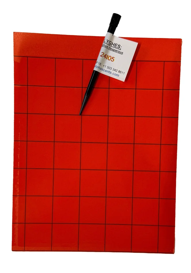 Red Card – Double-sided, 8 x 5.5 in