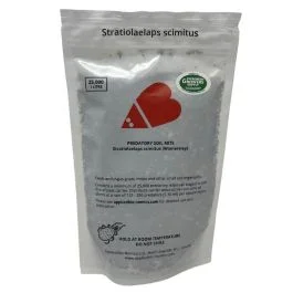 Stratiolaelaps scimitus Womersley or Hypoaspis