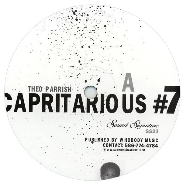 Theo Parrish: Capritarious #7 / Levels Vinyl 2LP Fashion
