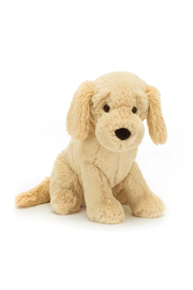 Tilly Golden Retriever