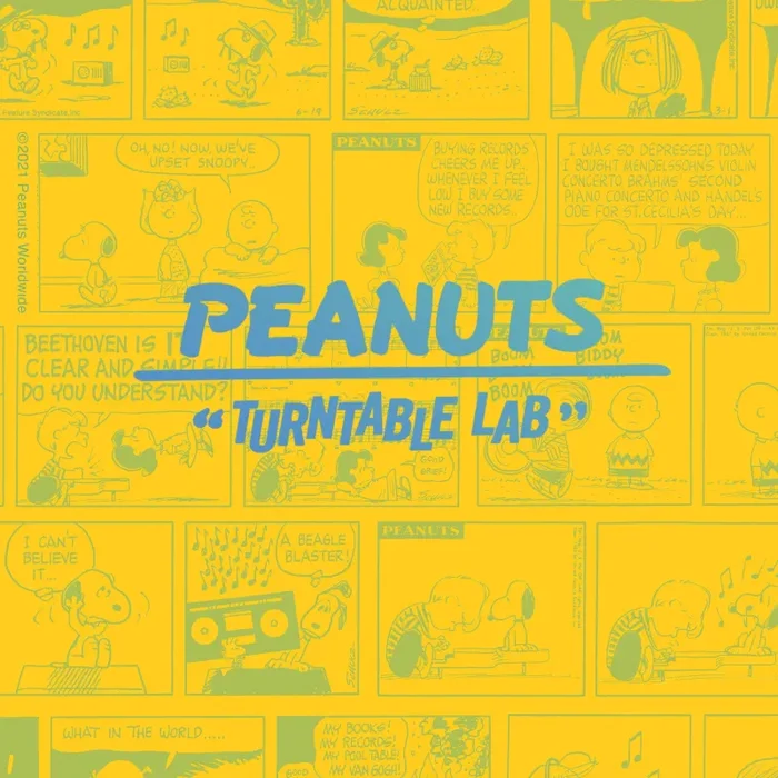 Turntable Lab: Peanuts Sad Song Shirt – Purple - Image 3
