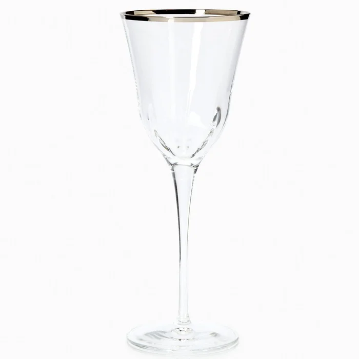 Vietri Optical Platinum Water Glass