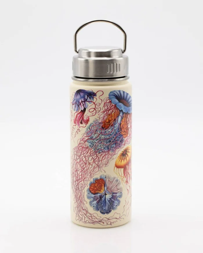 Water Bottle (Stainless Steel) – Haeckel Jellyfish 18oz