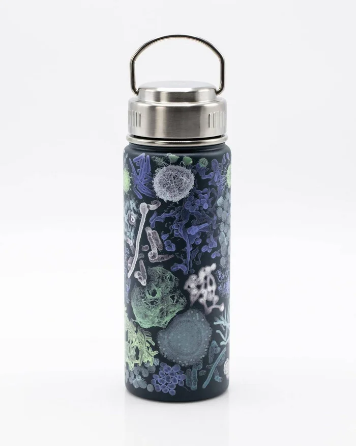 Water Bottle (Stainless Steel) – Infectious Diseases 18oz