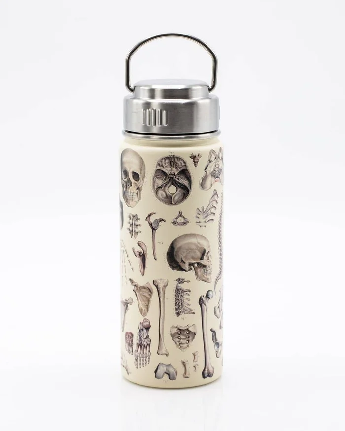 Water Bottle (Stainless Steel) – Skeleton 18oz