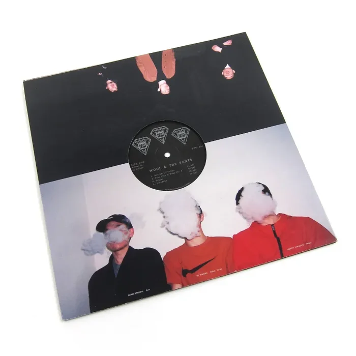 Wool & The Pants: Wool In The Pool Vinyl LP Online